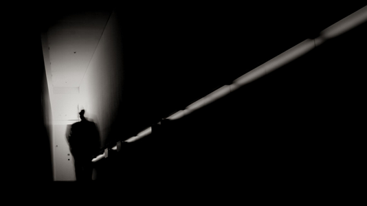 RREZIKU I PADREJTËSISË