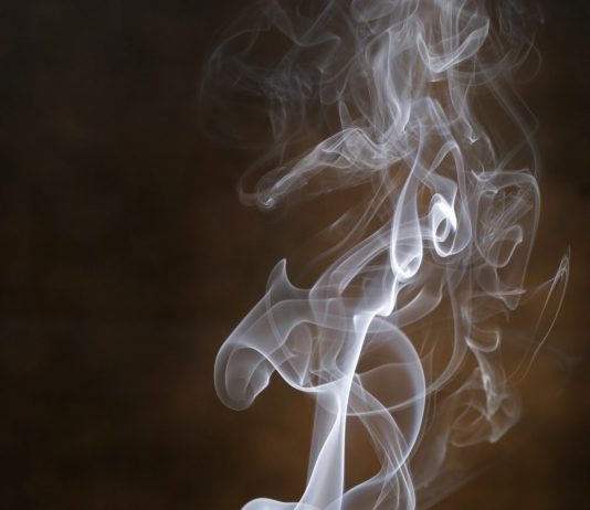 ZILIA DHE DËMI I SAJ