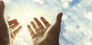 DUAJA DHE DOBITË E SAJ