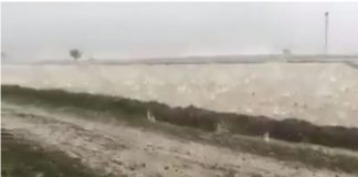 DËNIMET DHE NDËSHKIMET