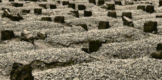 ÇKA I BËN DHE ÇKA NUK I BËN DOBI TË VDEKURIT (2)