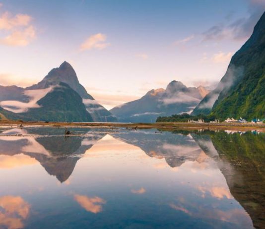 SHTATË GRUPET E SHPËTUARA