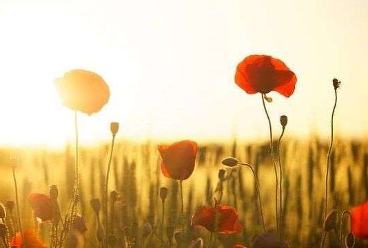 SHENJAT E PËRFUNDIMIT TË MIRË