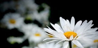 PËRGËZIMI NË KURAN DHE SUNET