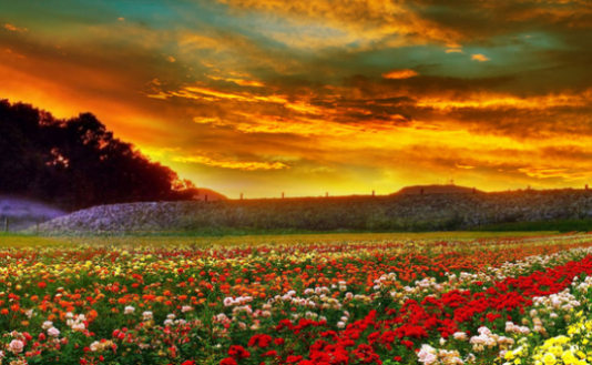 LIGJËSIMI I SELAMIT DHE DOBITË E TIJ