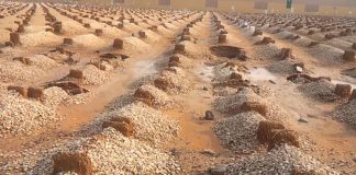 DISPOZITAT E XHENAZES