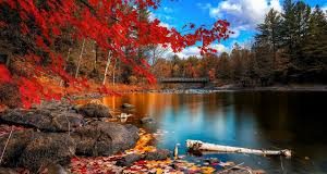 PËR KËTË ARSYE E KA MARRË EMRIN DYNJA