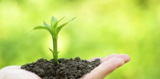 SHKAQET E ZBRITJES SË BEREQETIT