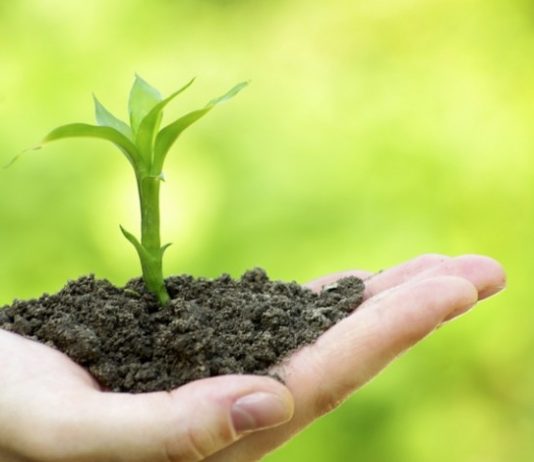 SHKAQET E ZBRITJES SË BEREQETIT