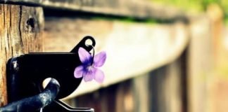 KUR DO TË JEMI TË KËNAQUR ME GJENDJEN TONË?!