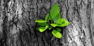 ATË QË NA E MËSON JETA ËSHTË THESAR I ÇMUAR