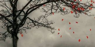 NDRYSHIMI ËSHTË TRADITA E JETËS