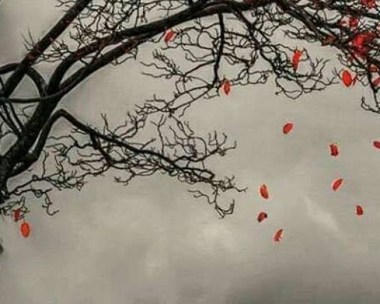 NDRYSHIMI ËSHTË TRADITA E JETËS