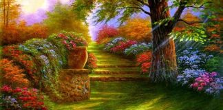 EDHE UNË KAM NEVOJË ASHTU SI TI