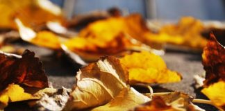 ÇFARË PO NDODH ME JETËN TONË?!