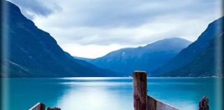 A DO TA FITOSH MIRËSINË E PLOTË?!