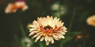 GRUAJA I PËRNGJAN NDËRTESËS!!