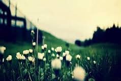 O TI NJERI QË MENDON