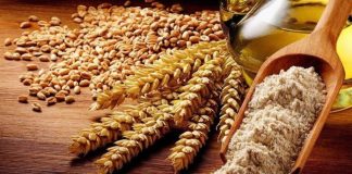 ZEKATI I FITRIT – RREGULLA DHE DOBI