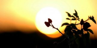 PENDIMI DHE MËSHIRA E GJERË E ALLAHUT