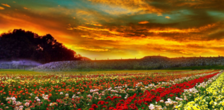 LIGJËSIMI I SELAMIT DHE DOBITË E TIJ