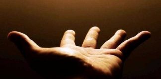 FALËNDERIMET E MIA TË PËRZEMËRTA