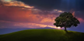 FUQIZIMI I VETËDIJES SË MBIKËQYRJES HYJNORE