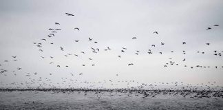 GJASHTË GJËRA QË I LEHTËSOJNË VËSHTIRËSITË!!