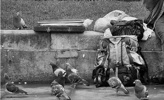 108990429_2684894968447091_275566652008431992_n