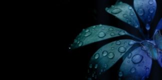 THATËSIA SHPIRTËRORE