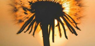 GRUAJA, FAMILJA DHE EKUILIBRI I RËNDË