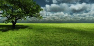 PYETJET E NJË ATEISTI DHE PËRGJIGJET E IMAM EBU HANIFES