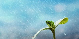 NAMAZI I KËRKIMIT TË SHIUT (EL ISTISKAJA)