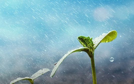 NAMAZI I KËRKIMIT TË SHIUT (EL ISTISKAJA)