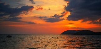 MIQËSIA ËSHTË JETË