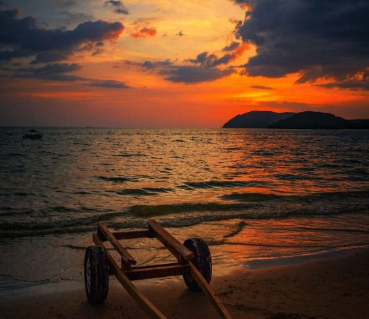 MIQËSIA ËSHTË JETË