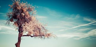 MOS U MËRZIT NGA KURTHET E NJERËZVE