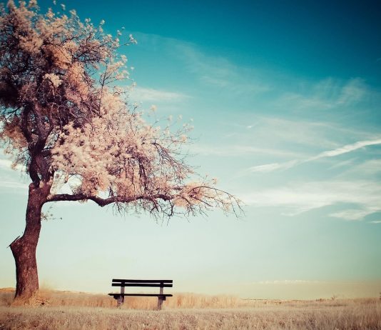 MOS U MËRZIT NGA KURTHET E NJERËZVE