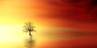 O ZOT, TY T’U DREJTOVA DHE M’U PËRGJIGJE