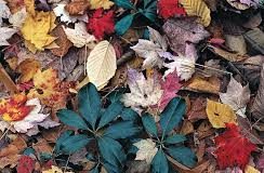 KUR NJERIU LLOGARITET PREJ ATYRE QË E PËRMENDIN ALLAHUN SHUMË?