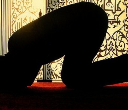 SEXHDJA E HARRESËS (SEVI SEXHDJA)