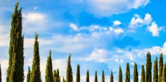 KUR MËSOHEMI ME BEGATI!