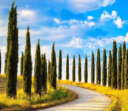 KUR MËSOHEMI ME BEGATI!