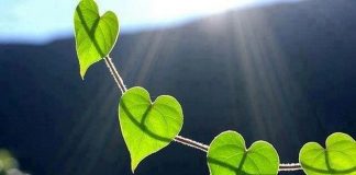 KUR E DI QË JE MIRË?