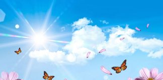 CILËS KATEGORI I TAKON?!