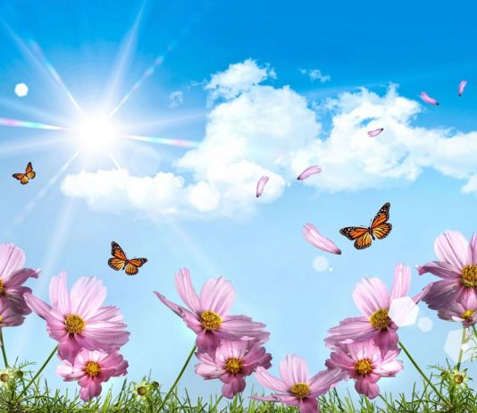 CILËS KATEGORI I TAKON?!