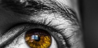 SHPIRTI MË NXITË DREJT GJYNAHEVE, MË KËSHILLO!