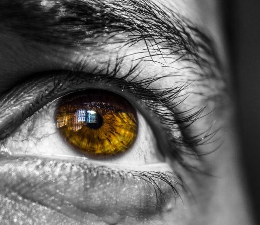 SHPIRTI MË NXITË DREJT GJYNAHEVE, MË KËSHILLO!