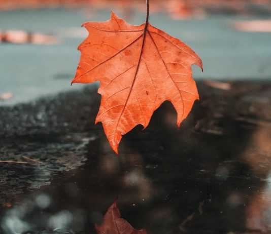 PESË KËSHILLA PËR TË ARRITUR DERI TEK LUMTURIA