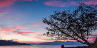 THYERJA E ZEMRËS ËSHTË MË E RËNDË SESA AJO E ESHTRAVE